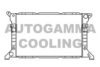 FORD 1030491 Radiator, engine cooling